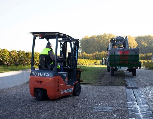 Viticulture – Location de matériel de manutention pour les vendanges